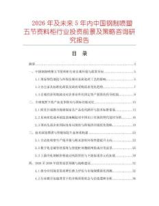 2026年及未來5年內中國鋼制噴塑五節資料柜行業投資前景及策略咨詢研究報告