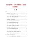 2026及未來5-10年水準泡項目投資價值分析報告
