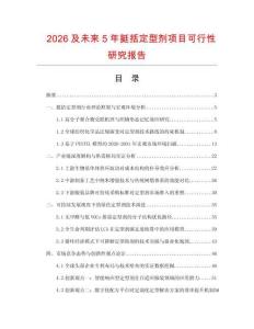 2026及未來5年挺括定型劑項目可行性研究報告