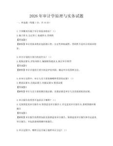 2026年審計學原理與實務試題