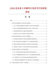 2026及未來5年腳甲片項目可行性研究報告