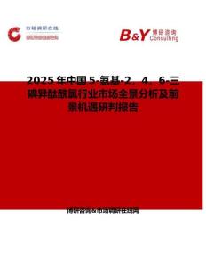 2025年中國5-氨基-2，4，6-三碘異酞酰氯行業市場全景分析及前景機遇研判報告