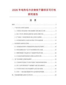 2026年電熱毛巾衣物快干器項目可行性研究報告