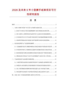 2026及未來5年小型擦手紙架項目可行性研究報告