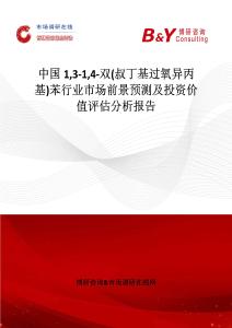 中國13-14-雙(叔丁基過氧異丙基)苯行業(yè)市場前景預(yù)測及投資價值評估分析報告