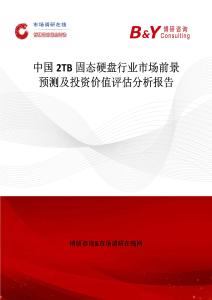 中國2TB固態硬盤行業市場前景預測及投資價值評估分析報告