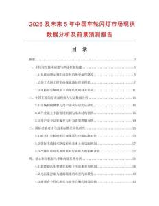 2026及未來5年中國車輪閃燈市場現狀數據分析及前景預測報告