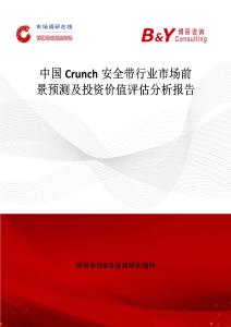 中國(guó)Crunch安全帶行業(yè)市場(chǎng)前景預(yù)測(cè)及投資價(jià)值評(píng)估分析報(bào)告