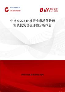中國GDDR IP核行業市場前景預測及投資價值評估分析報告