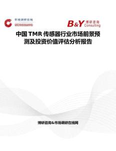 中國TMR傳感器行業市場前景預測及投資價值評估分析報告
