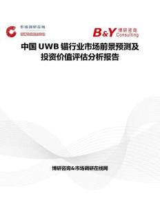 中國UWB錨行業(yè)市場前景預(yù)測及投資價(jià)值評估分析報(bào)告