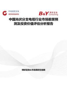 中國光伏分支電纜行業市場前景預測及投資價值評估分析報告