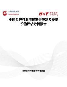 中國公仔行業市場前景預測及投資價值評估分析報告