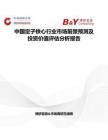 中國定子鐵心行業市場前景預測及投資價值評估分析報告