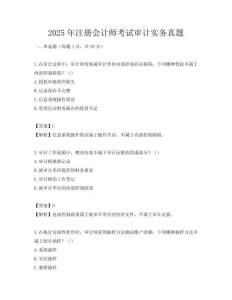 2025年注册会计师考试审计实务真题