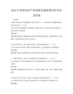 2025年國家知識產權戰略實施效果評估考試及答案