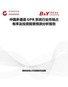中国多通道GPR系统行业市场占有率及投资前景预测分析报告