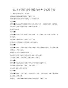 2025年國際法學(xué)理論與實(shí)務(wù)考試及答案