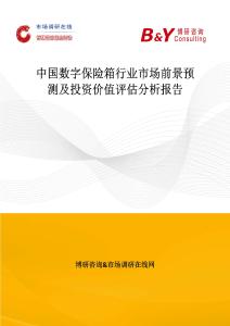 中國數字保險箱行業市場前景預測及投資價值評估分析報告