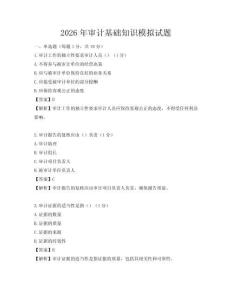 2026年審計(jì)基礎(chǔ)知識(shí)模擬試題