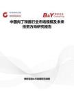 中國肉丁辣醬行業市場規模及未來投資方向研究報告