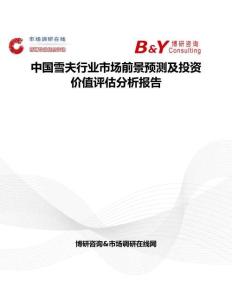 中國雪夫行業(yè)市場前景預測及投資價值評估分析報告