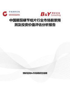 中國顛茄磺芐啶片行業市場前景預測及投資價值評估分析報告