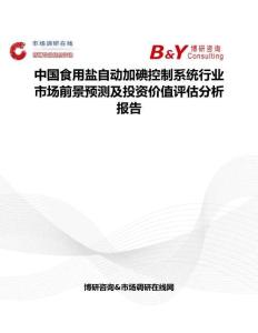 中國食用鹽自動加碘控制系統行業市場前景預測及投資價值評估分析報告