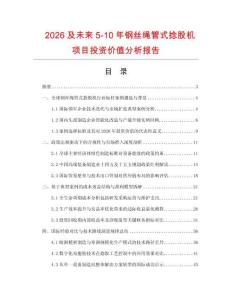 2026及未來5-10年鋼絲繩管式捻股機項目投資價值分析報告