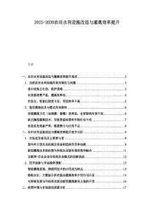 2025-2030農(nóng)田水利設(shè)施改造與灌溉效率提升