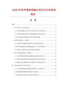 2026年單聲道音頻磁頭項(xiàng)目可行性研究報(bào)告