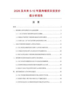 2026及未來5-10年圓角錘項目投資價值分析報告