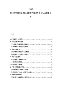 2025-2030航空维修业飞机引擎维护技术升级与行业前景分析