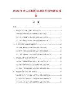2026年木工压刨机床项目可行性研究报告