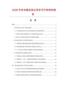 2026年多功能壓線頭項目可行性研究報告