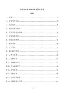公司資金管理環節制度管控方案
