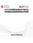 2025年中国手抬电动冲气泵行业市场规模及投资前景预测分析报告