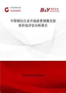 中国钢垃行业市场前景预测及投资价值评估分析报告