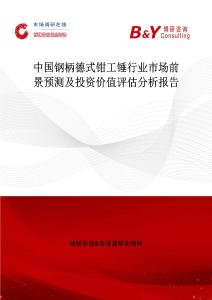 中国钢柄德式钳工锤行业市场前景预测及投资价值评估分析报告