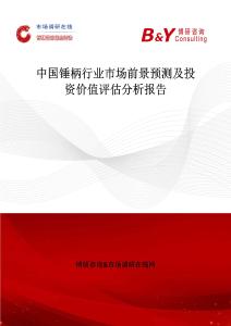 中国锤柄行业市场前景预测及投资价值评估分析报告
