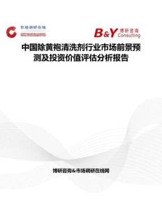 中國除黃袍清洗劑行業市場前景預測及投資價值評估分析報告