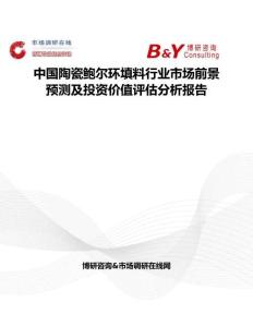 中国陶瓷鲍尔环填料行业市场前景预测及投资价值评估分析报告