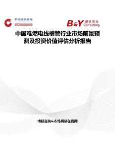 中國難燃電線槽管行業市場前景預測及投資價值評估分析報告