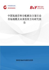 中國氫儲存和分配解決方案行業市場規模及未來投資方向研究報告