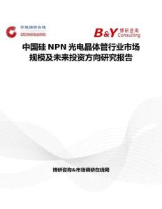 中國硅NPN光電晶體管行業市場規模及未來投資方向研究報告