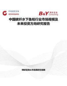 中國碳纖水下魚槍行業市場規模及未來投資方向研究報告