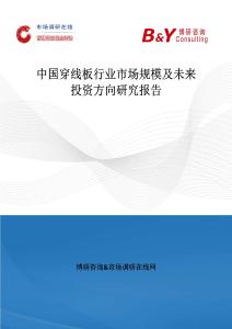 中國(guó)穿線板行業(yè)市場(chǎng)規(guī)模及未來(lái)投資方向研究報(bào)告
