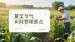 夏至節氣田間管理要點