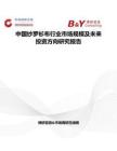 中国纱罗衫布行业市场规模及未来投资方向研究报告