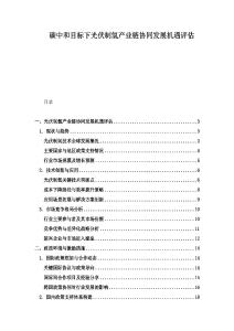 碳中和目標(biāo)下光伏制氫產(chǎn)業(yè)鏈協(xié)同發(fā)展機(jī)遇評(píng)估